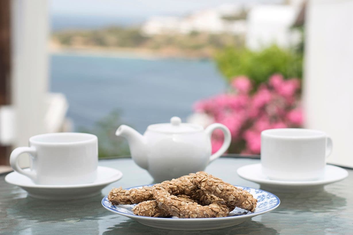 Villa Fiamegou Andros