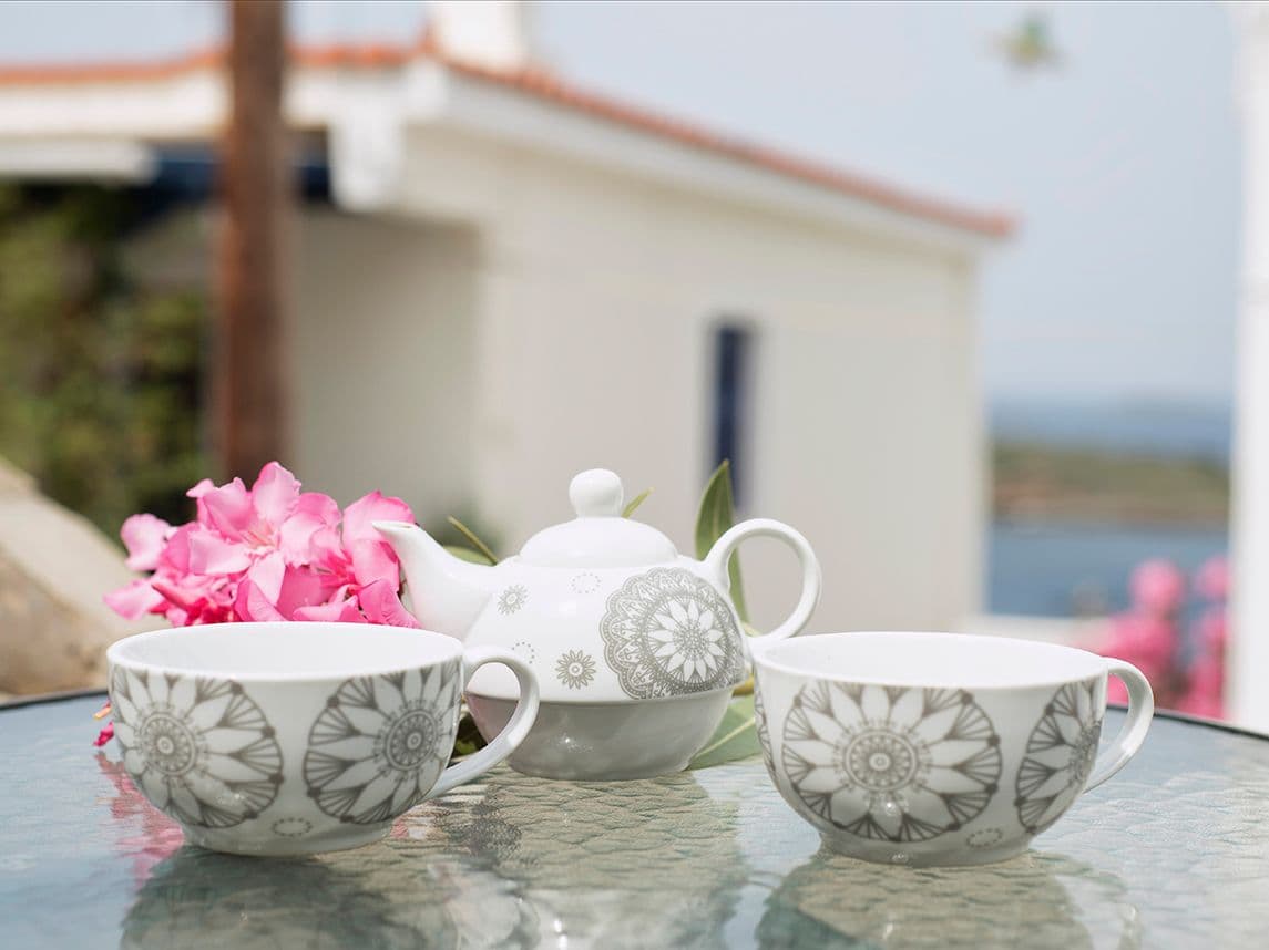 Villa Fiamegou Andros