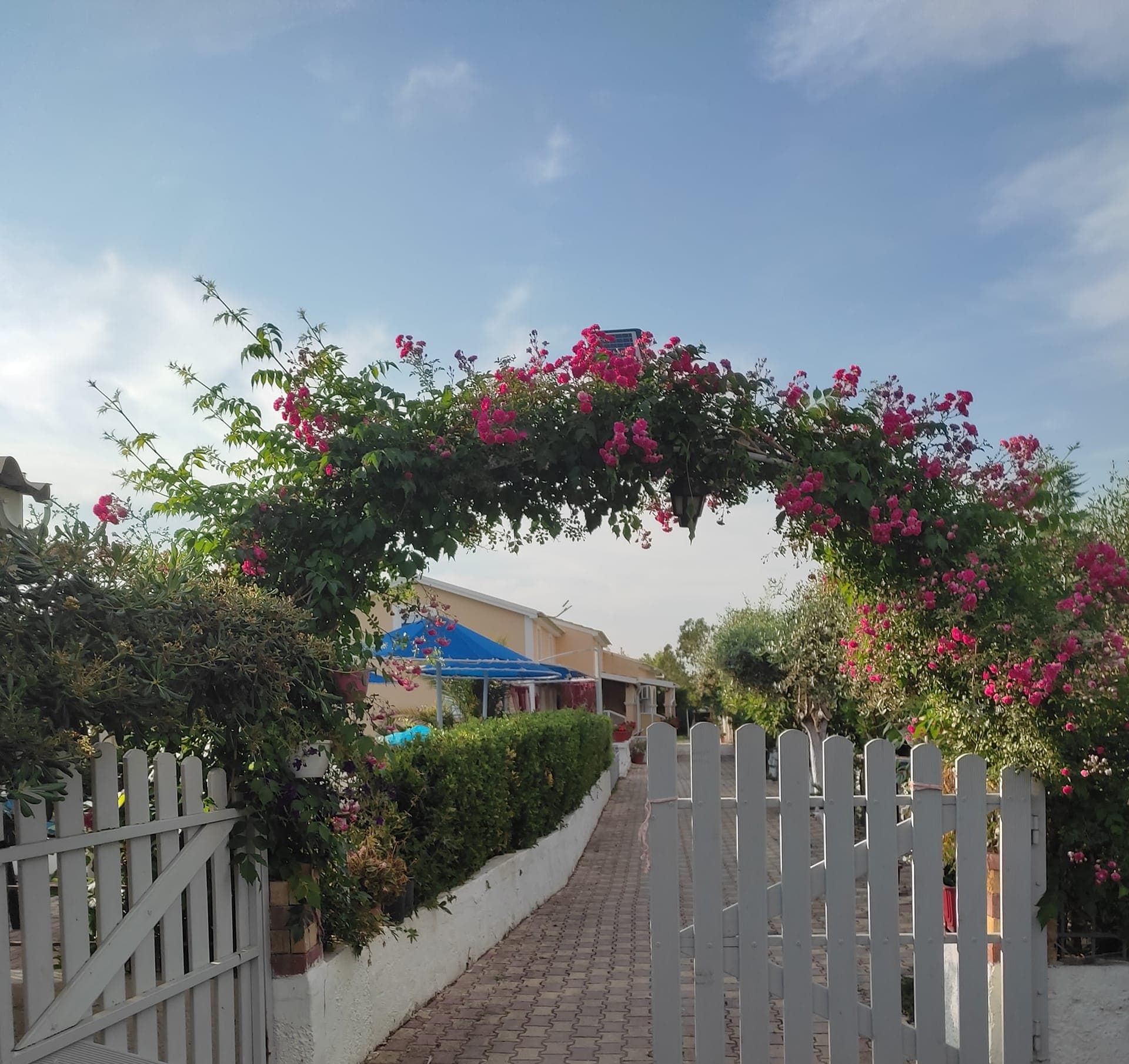 Villa Eleni Holidays Resort