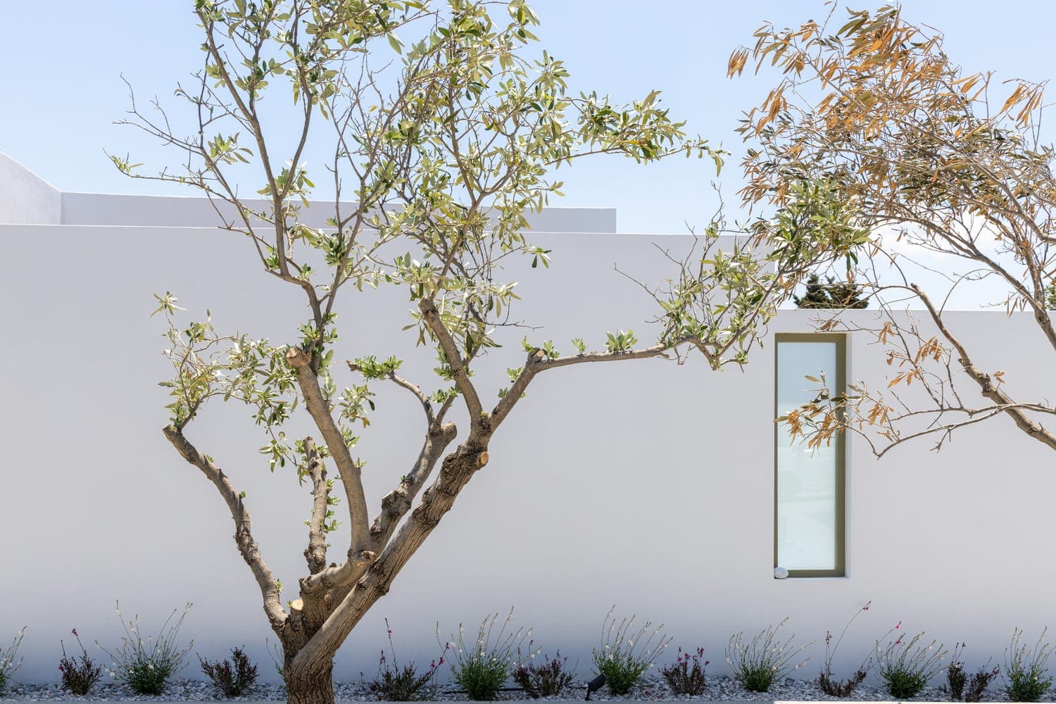 White Holidays Project
