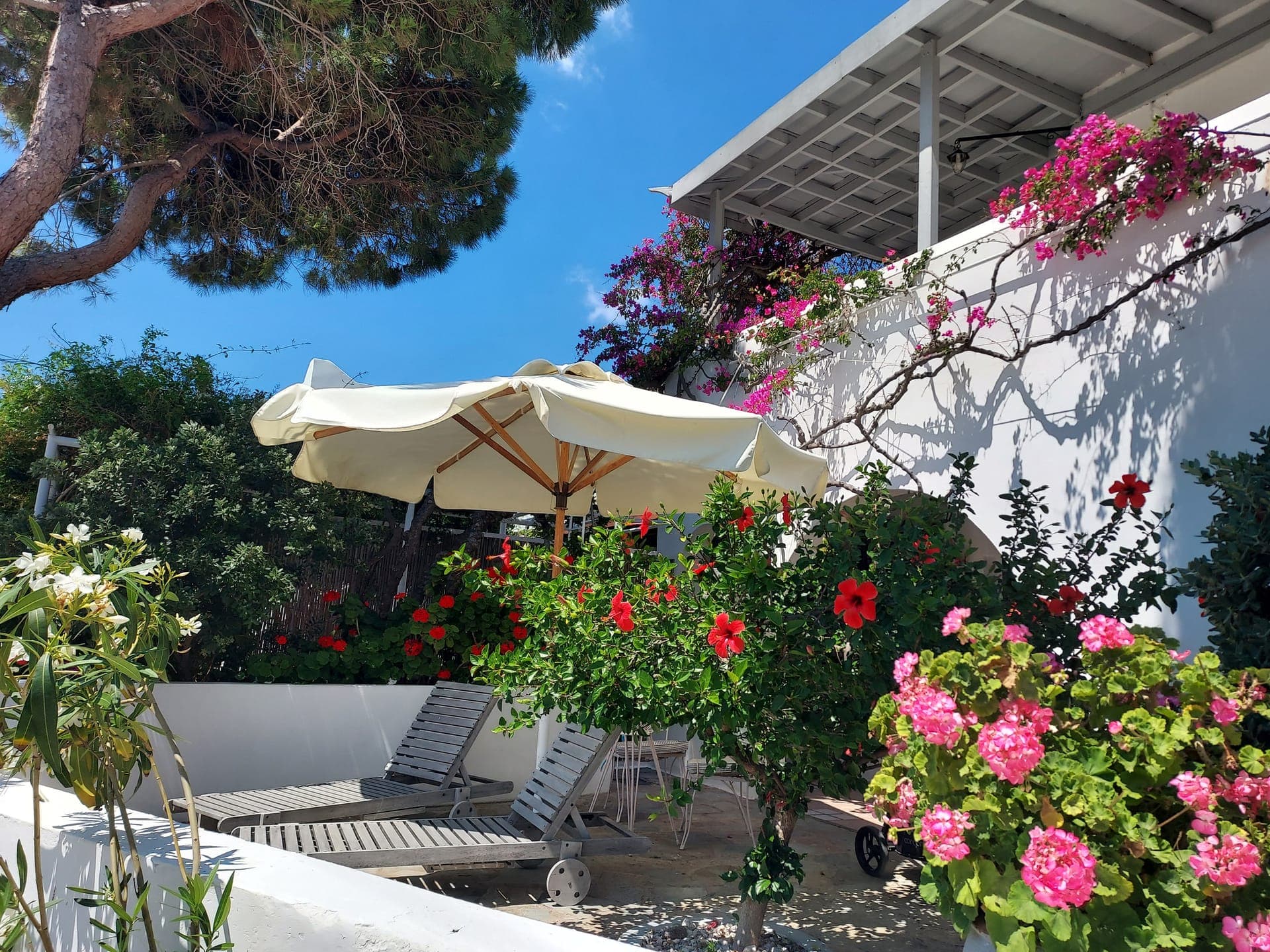 Studio with Private Courtyard & View